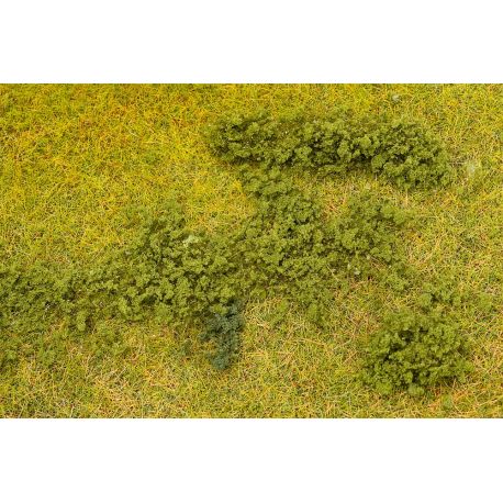 Blätterfoliage, grün