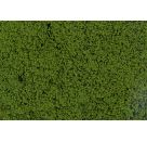 Blätterfoliage, grün