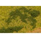 Blätterfoliage, dunkelgrün