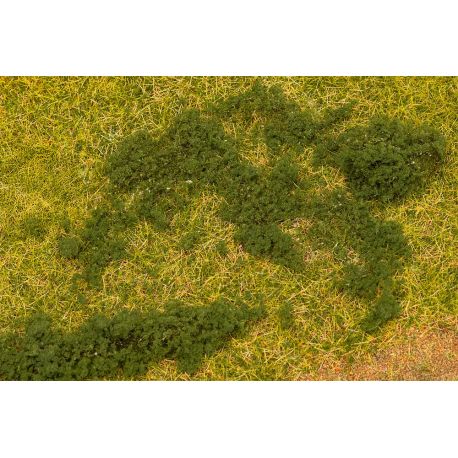 Blätterfoliage, dunkelgrün