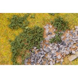 Blätterfoliage, kieferngrün