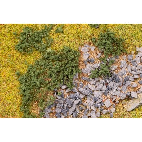 Blätterfoliage, kieferngrün