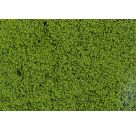 Blätterfoliage, maigrün