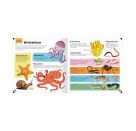 Mein erstes Grundschul-Lexikon