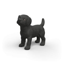 Schwarzer Labrador Retriever Welpe
