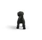 Schwarzer Labrador Retriever Welpe