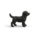 Schwarzer Labrador Retriever Welpe