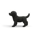 Schwarzer Labrador Retriever Welpe
