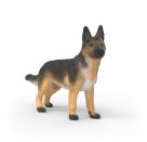 Deutscher Schäferhund Hündin