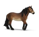 Nordschwedisches Kaltblut Stute