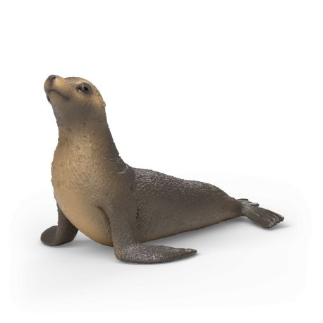 Seelöwe