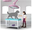 Pferdeklinik Heilende Hufe