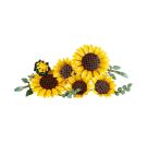 LEGO® Botanicals 11502 Sonnenblumen