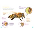 WAS IST WAS Erstes Lesen. Bienen