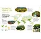 WAS IST WAS Der Wald. Zwischen Blättern und Zapfen