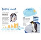 WAS IST WAS Pinguine. Immer cool drauf
