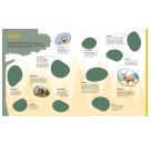 WAS IST WAS Rätseln und Stickern: Tiere