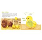 Hör mal, wie ich knabbern kann (Mein erstes Streichel-Soundbuch 5)