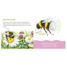 Hör mal, wie ich knabbern kann (Mein erstes Streichel-Soundbuch 5)