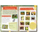 Naturforscher-Kids – Mitmachbuch im Wald