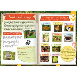 Naturforscher-Kids – Mitmachbuch im Wald