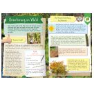 Naturforscher-Kids – Mitmachbuch im Wald