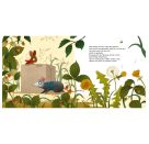 Was ist denn ein Kattonk?