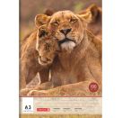 Zeichenblock A3 20Bl 100 g/m²