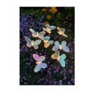 Blatt   Blüte Solar-Stecker Schmetterling