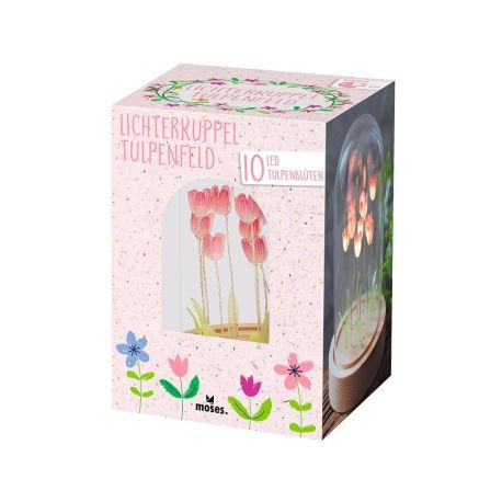 Lichterkuppel Tulpenfeld