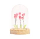 Lichterkuppel Tulpenfeld