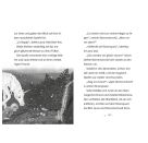 Sternenschweif Zauberfohlen (TB)