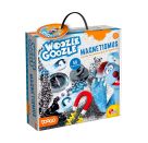 WOOZLE GOOZLE, Der Magnetismus