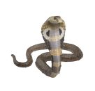 Metal Earth: Cobra (farbiges Modell)