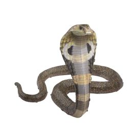 Metal Earth: Cobra (farbiges Modell)