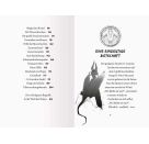 Dragon Ninjas 6 Drache d.Wass