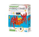 Green Science: Hybrid-Krabbe