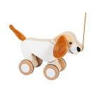 Nachziehtier Hund mit Knisterohren