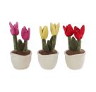 Take Me Home - Tulpen Plüsch, 3-fach sortiert (lila, gelb, rot)