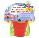 Mein Zauberg. Anzuchtset Inse