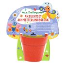 Mein Zauberg. Anzuchtset Inse