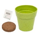 Mein Zauberg. Anzuchtset Inse