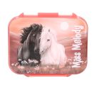 Miss Melody Brotdose BLOSSOM PONY