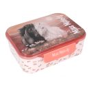 Miss Melody Brotdose BLOSSOM PONY