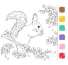 Aquarell-Glück Gartenzauber - Mit Farben und Pinsel