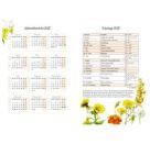 GlücksKalender 2027 - gelb