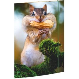 A3 Sammelmappe Chipmunk