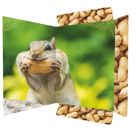 A3 Sammelmappe Chipmunk
