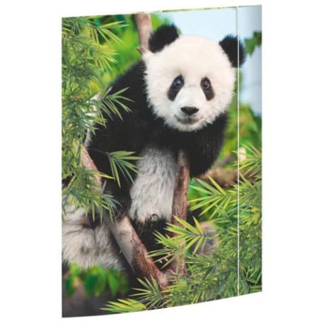 A3 Sammelmappe Panda