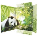 A3 Sammelmappe Panda